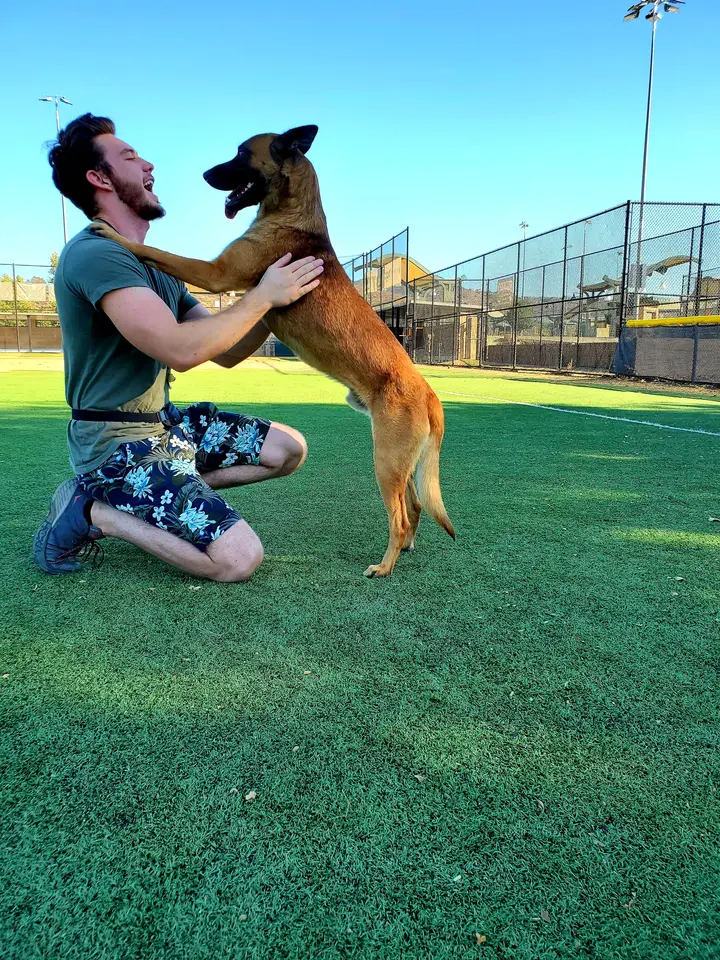 Davin kneeling on a field as Declan, the rescue Malinois who started it all, jumps up to greet him