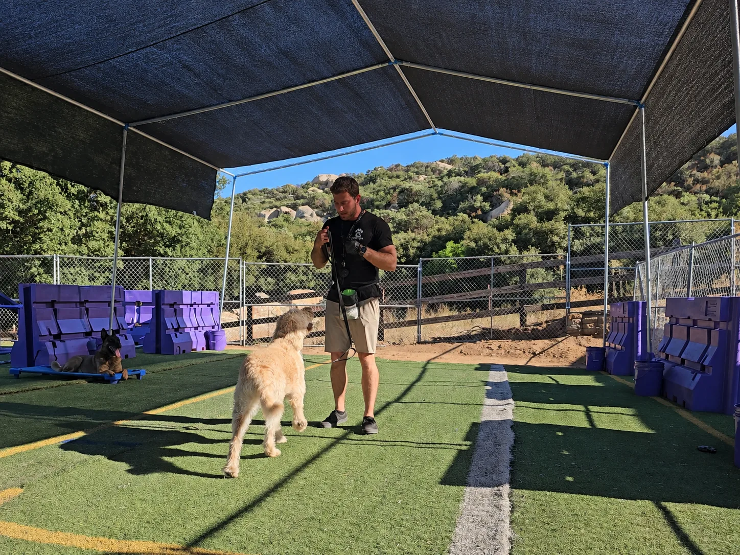 Trainer working with a dog at the EZ Pups training field