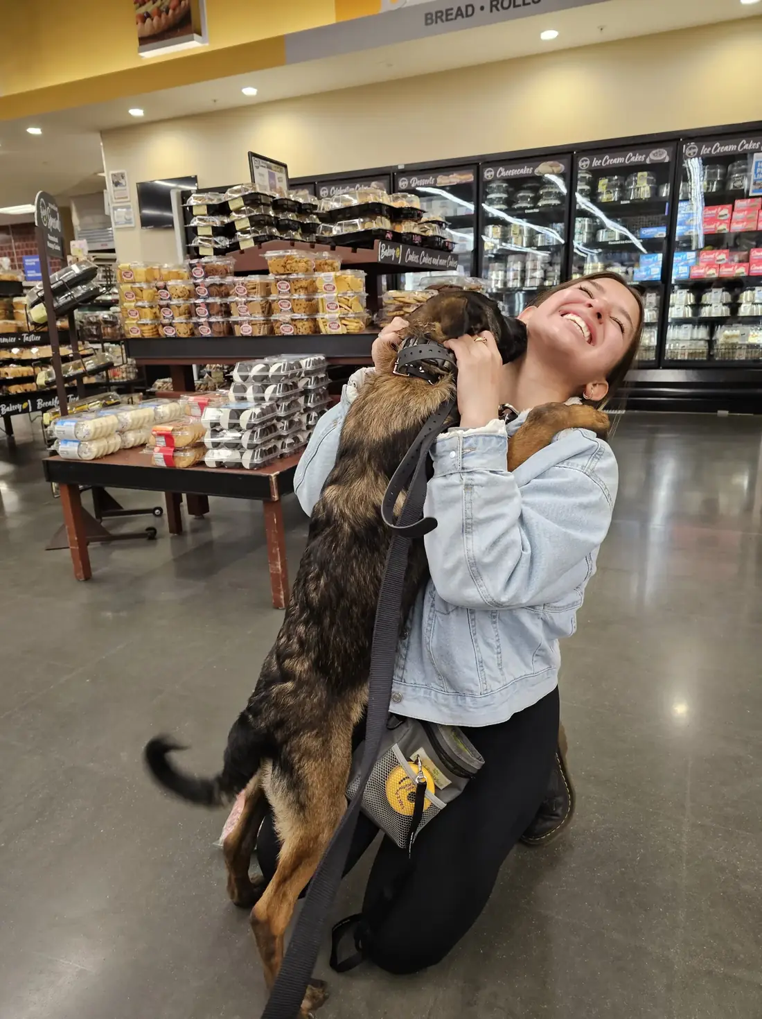 A young Malinois jumping up to lick a laughing trainer's face in a pet store