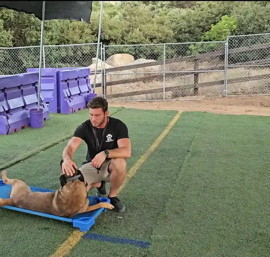 A trainer crouched on the training-yard turf beside a dog relaxing on a blue cot