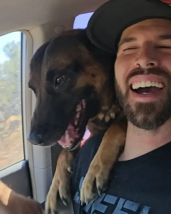 A grinning trainer in the car with a Malinois leaning over his shoulder